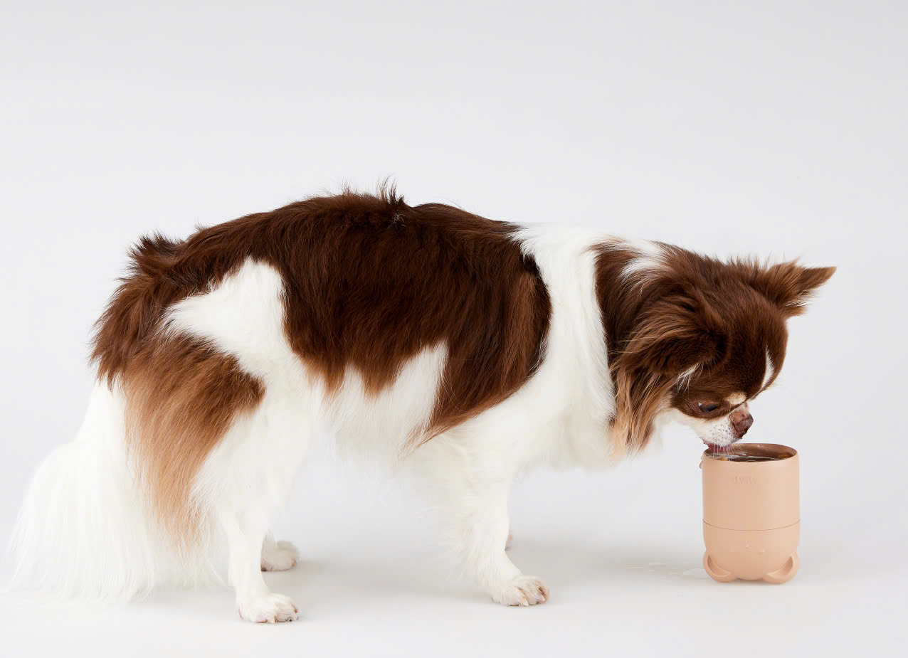 3e9dc568-ca68-4fae-bc93-2fed3e60c3b8