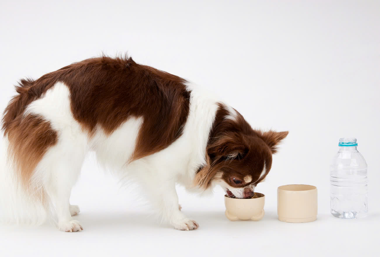 8505b50e-454b-4224-bdfd-bbd189a07315