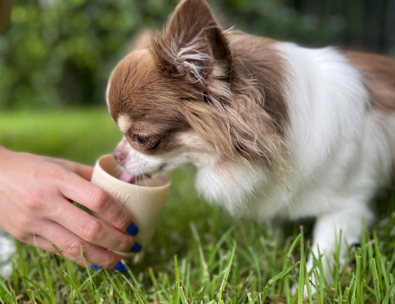 b171fa05-5033-410c-8c94-b49c44b21688